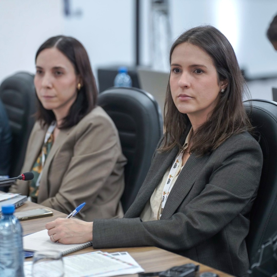 Ana Ribeiro, Director of ABIN’s Department of External Intelligence and head of the Brazilian delegation to the BRICS Counterterrorism Working Group, says the group’s mission is to maintain a constant watch on global terrorism trends